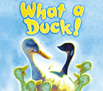 BOOK144 What a Duck!